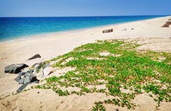 फांग नगा प्रांत का भ्रमण фото №2