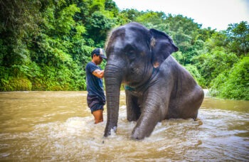 फांग नगा प्रांत का भ्रमण фото №3