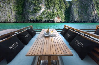 Luxary Catamaran №25