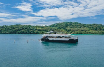 Luxury Catamaran №6