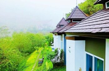 खाओ सोक और चेओ लैन झील का भ्रमण фото №12