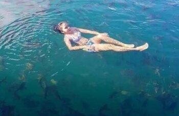 खाओ सोक और चेओ लैन झील का भ्रमण фото №17