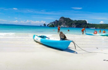 Премиум Катамаран фото №7