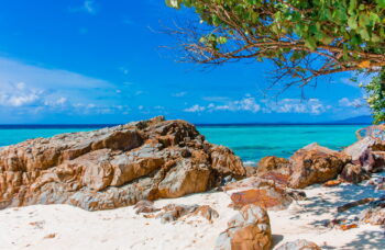 4 жемчужины фото №31