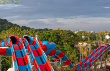 ANDAMANDA  фото №8