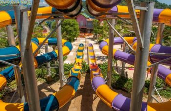 ANDAMANDA  фото №4