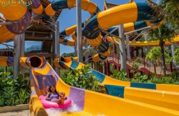 ANDAMANDA  фото №3