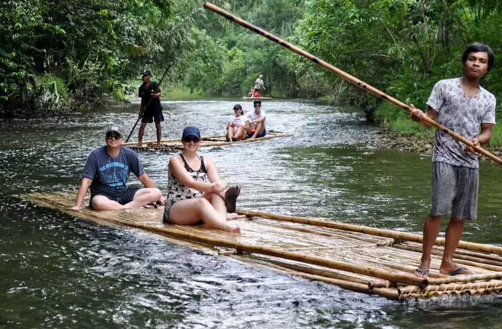 बांस मिश्र धातु