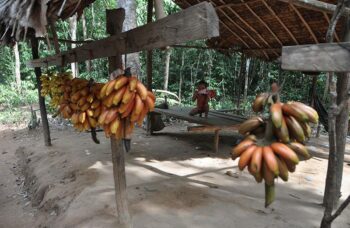 Лежачий Будда фото №52