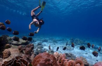 Острова Симиланы фото №37