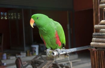 Обзорные экскурсии по Пхукету фото №28