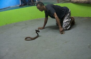 Обзорные экскурсии по Пхукету фото №27