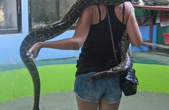 Обзорные экскурсии по Пхукету фото №24