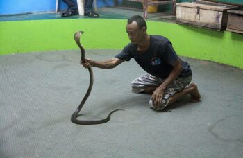 Обзорные экскурсии по Пхукету фото №23