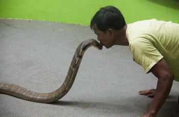 Обзорные экскурсии по Пхукету фото №22