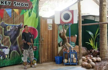 Обзорные экскурсии по Пхукету фото №18