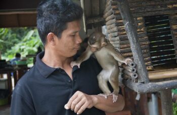 Обзорные экскурсии по Пхукету фото №34