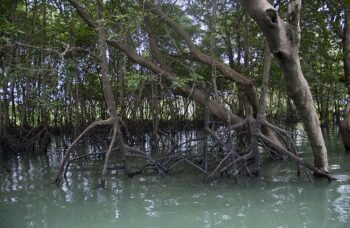 फुकेत के दर्शनीय स्थलों की यात्रा фото №54