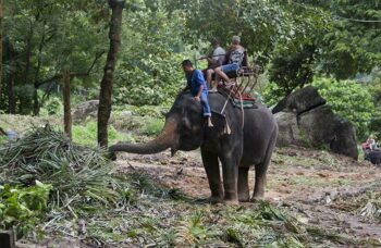 Обзорные экскурсии по Пхукету фото №33