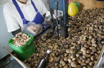 फुकेत के दर्शनीय स्थलों की यात्रा фото №51