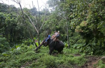 Обзорные экскурсии по Пхукету фото №32