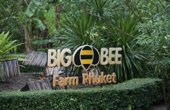 फुकेत के दर्शनीय स्थलों की यात्रा фото №43