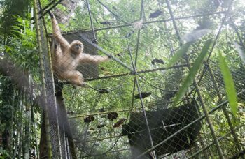 फुकेत के दर्शनीय स्थलों की यात्रा фото №42