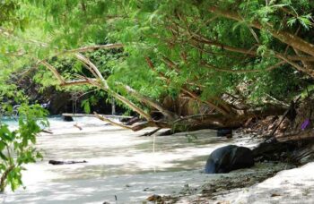 Пхукет - Остров Корал фото №17