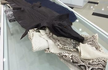 Крокодиловая ферма на Пхукете фото №23