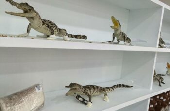 Крокодиловая ферма на Пхукете фото №21