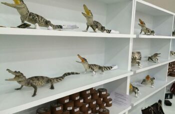 Крокодиловая ферма на Пхукете фото №20