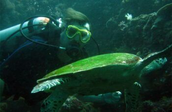 __alt__ фото №4