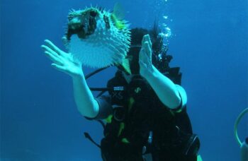 __alt__ фото №12