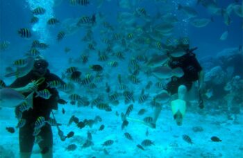 __alt__ фото №10