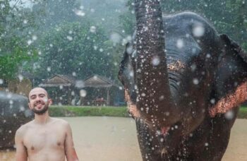 Парк сохранения слонов на Пхукете №6