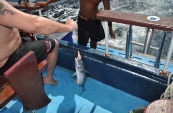 ПХУКЕТ - МОРСКАЯ РЫБАЛКА фото №22