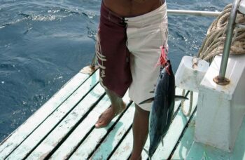 ПХУКЕТ - МОРСКАЯ РЫБАЛКА фото №16