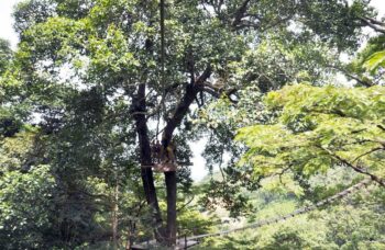 Flying Hanuman фото №12