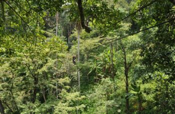 Flying Hanuman фото №13