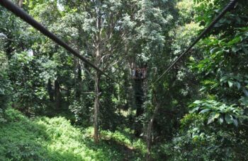 Flying Hanuman фото №17