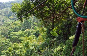 Flying Hanuman фото №19