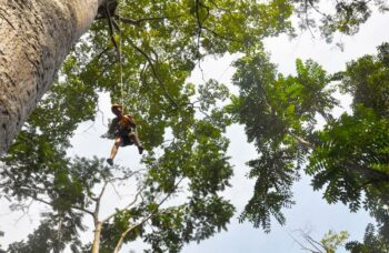 Flying Hanuman фото №22