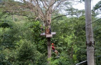 Hanuman World фото №11