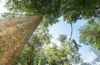 Hanuman World фото №13