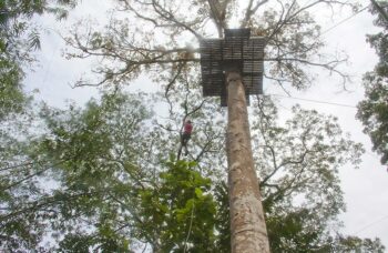 Hanuman World фото №12