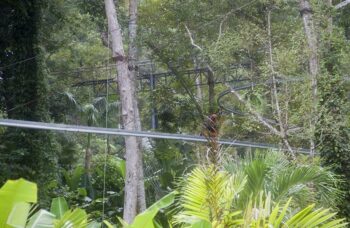 Hanuman World фото №14