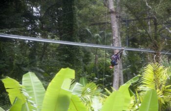 Hanuman World фото №15