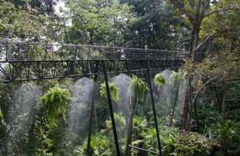 Hanuman World фото №5