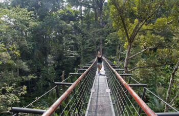 Hanuman World фото №6