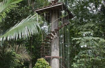 Hanuman World фото №8